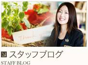 スタッフのブログ WEDDING BLOG